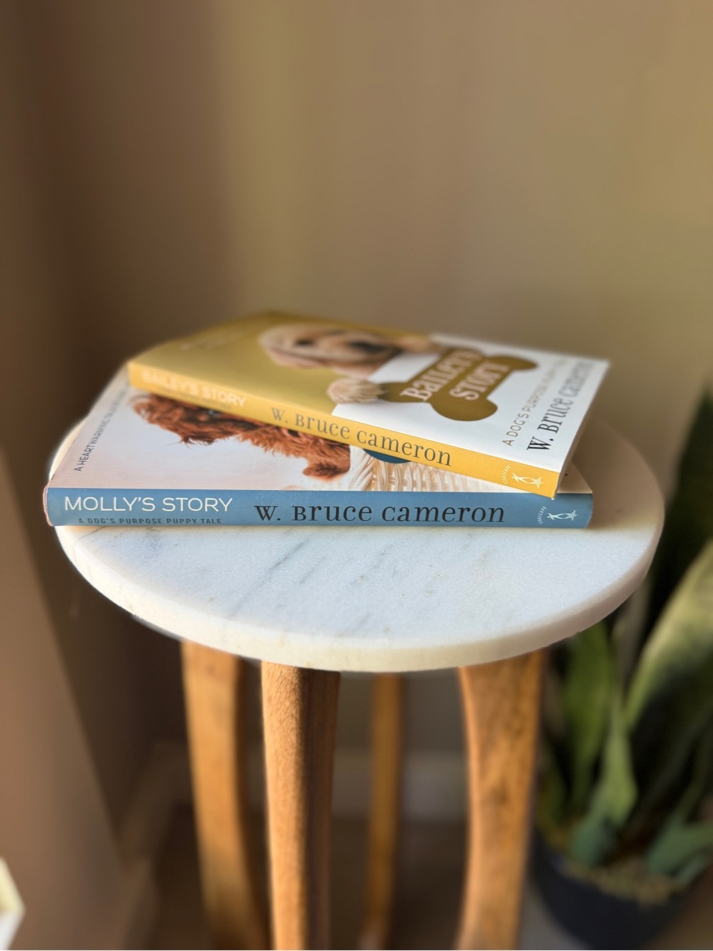 Molly's Story & Bailey’s Story - Dog book Bundle